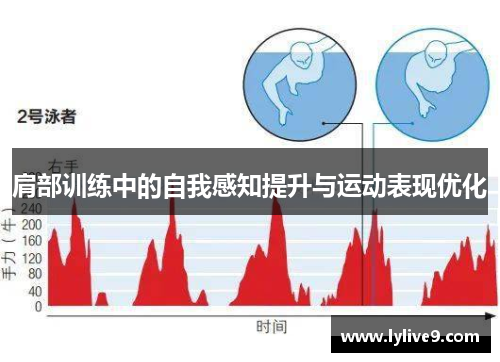肩部训练中的自我感知提升与运动表现优化